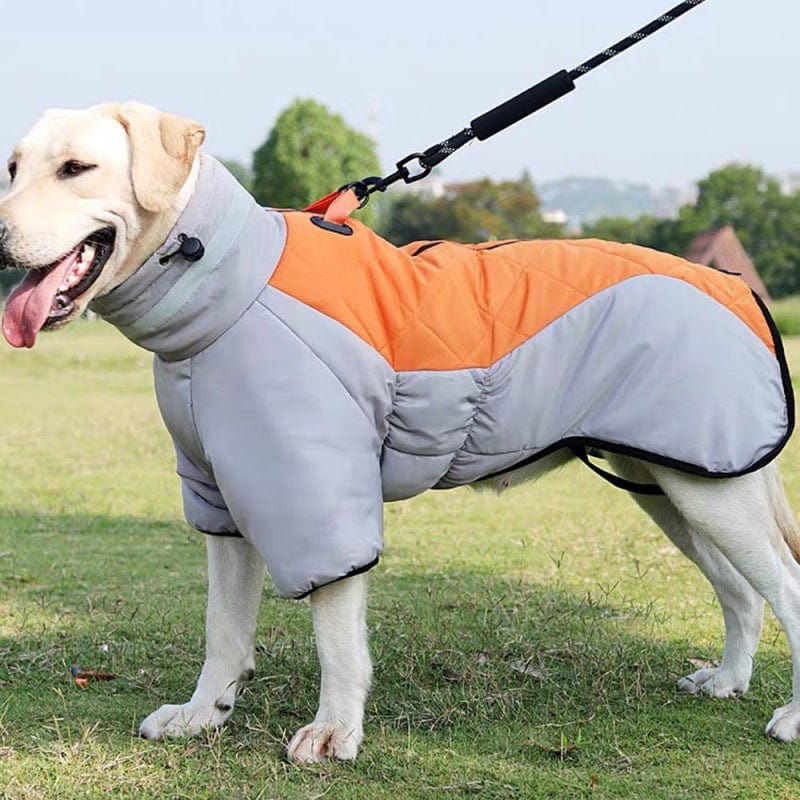 Premium New Winter Dog Coat Waterproof Pet Clothes For Medum Large Dogs Warm Thicken Dog Vest Custome Labrador Jacket - Pet Accessories from Empire of LaTz - Only £24.93! Explore at Empire of LaTz