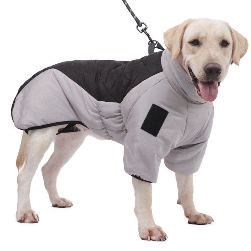 Premium New Winter Dog Coat Waterproof Pet Clothes For Medum Large Dogs Warm Thicken Dog Vest Custome Labrador Jacket - Pet Accessories from Empire of LaTz - Only £24.93! Explore at Empire of LaTz